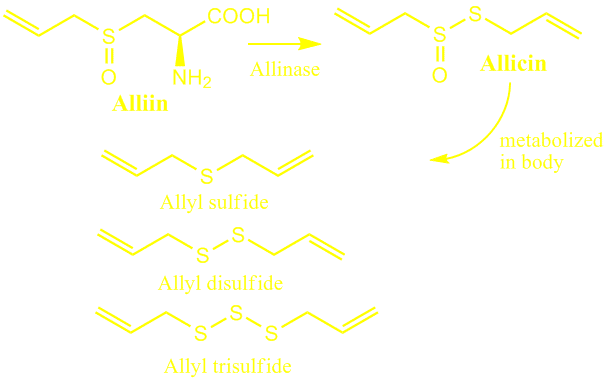 allicin, alliin