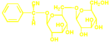 amygdalin