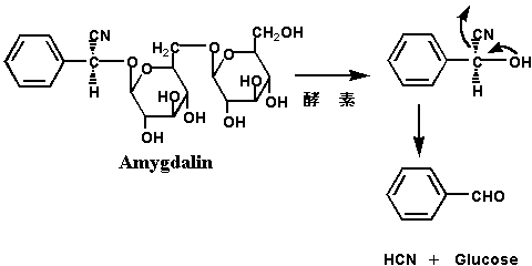 amygdalin_decomp