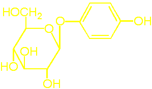 arbutin