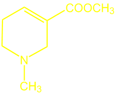 Arecholine