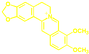 berberine