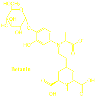 betanin