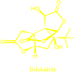 bilobalide