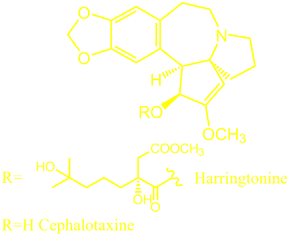 cephalotaxine