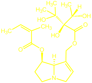 echimidine