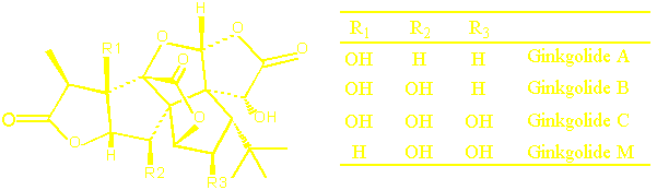 ginkgolides