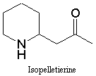 isopelletierine