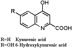 kynurenic_acid