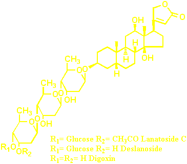 lanatosideC