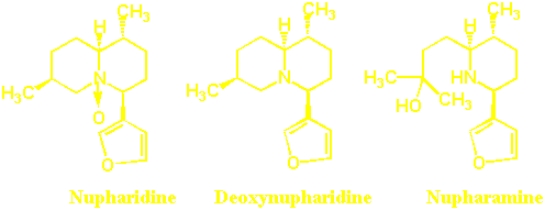 nuphar_alkaloids