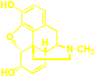 morphine