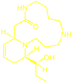 Palustrine