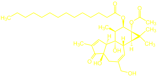 Phorbol_ester