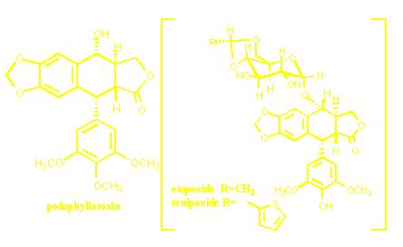 podophyllotoxin