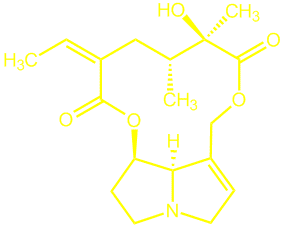 senecionine