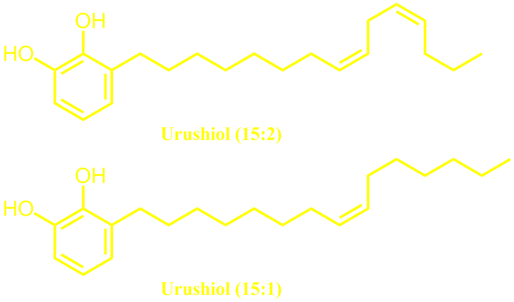 urushiol