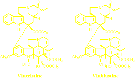 vincristine_vinblastine