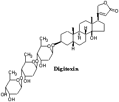 digitoxin