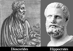 Dioscorides et Hippocrates