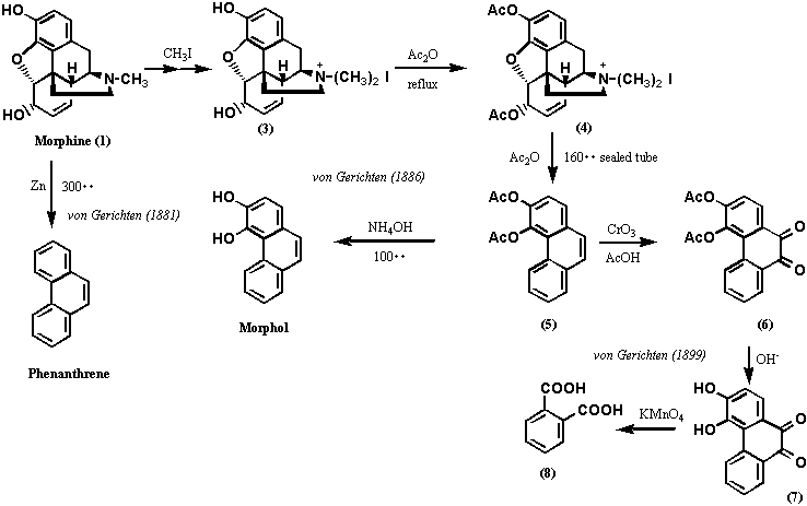 モルヒネの化学修飾