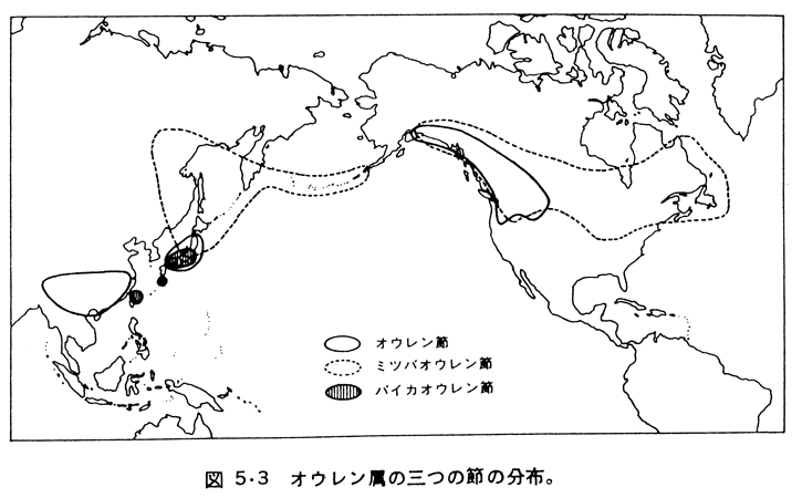 オウレン属の分布