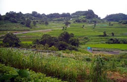 明日香村の農業風景